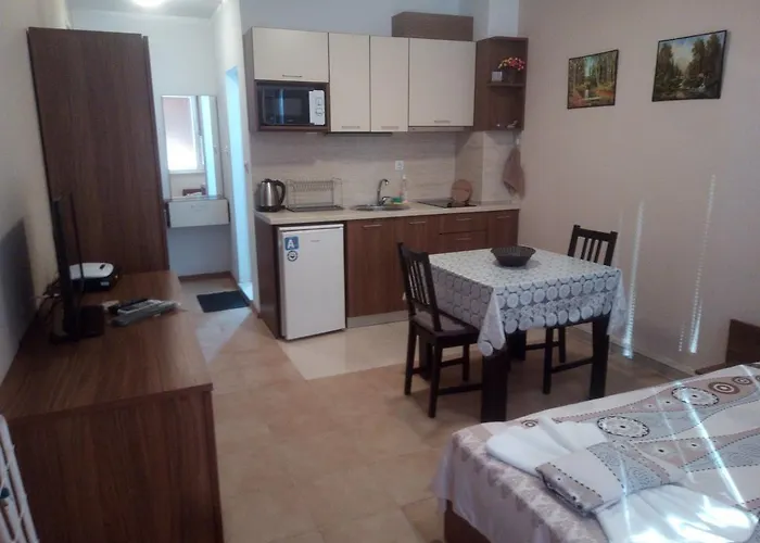 Apartament Vesi And Gery *